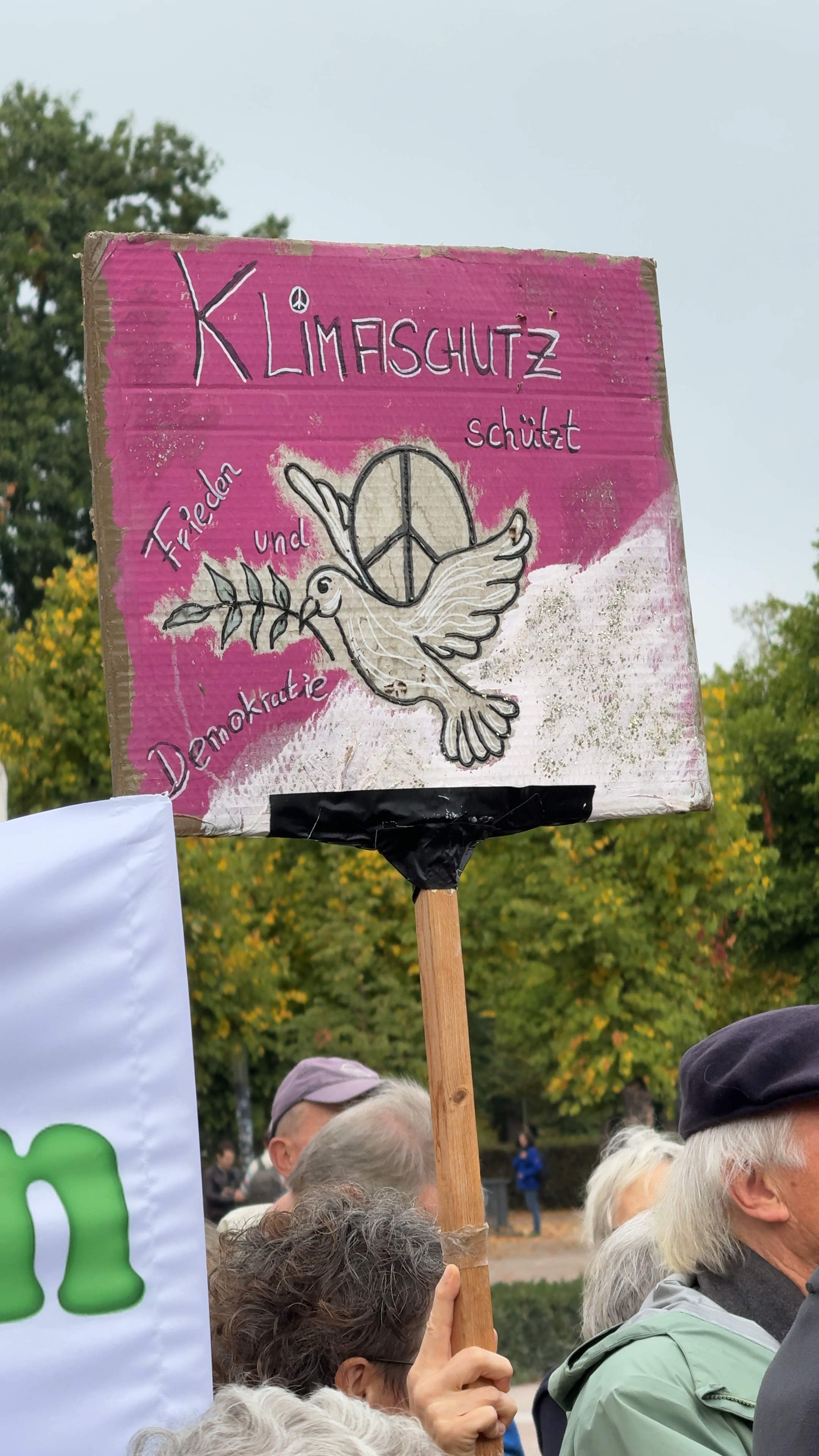 Video: Wasserflasche gegen Hitzetote? Ärztin nennt Kanzler-Idee „politische Bankrotterklärung“