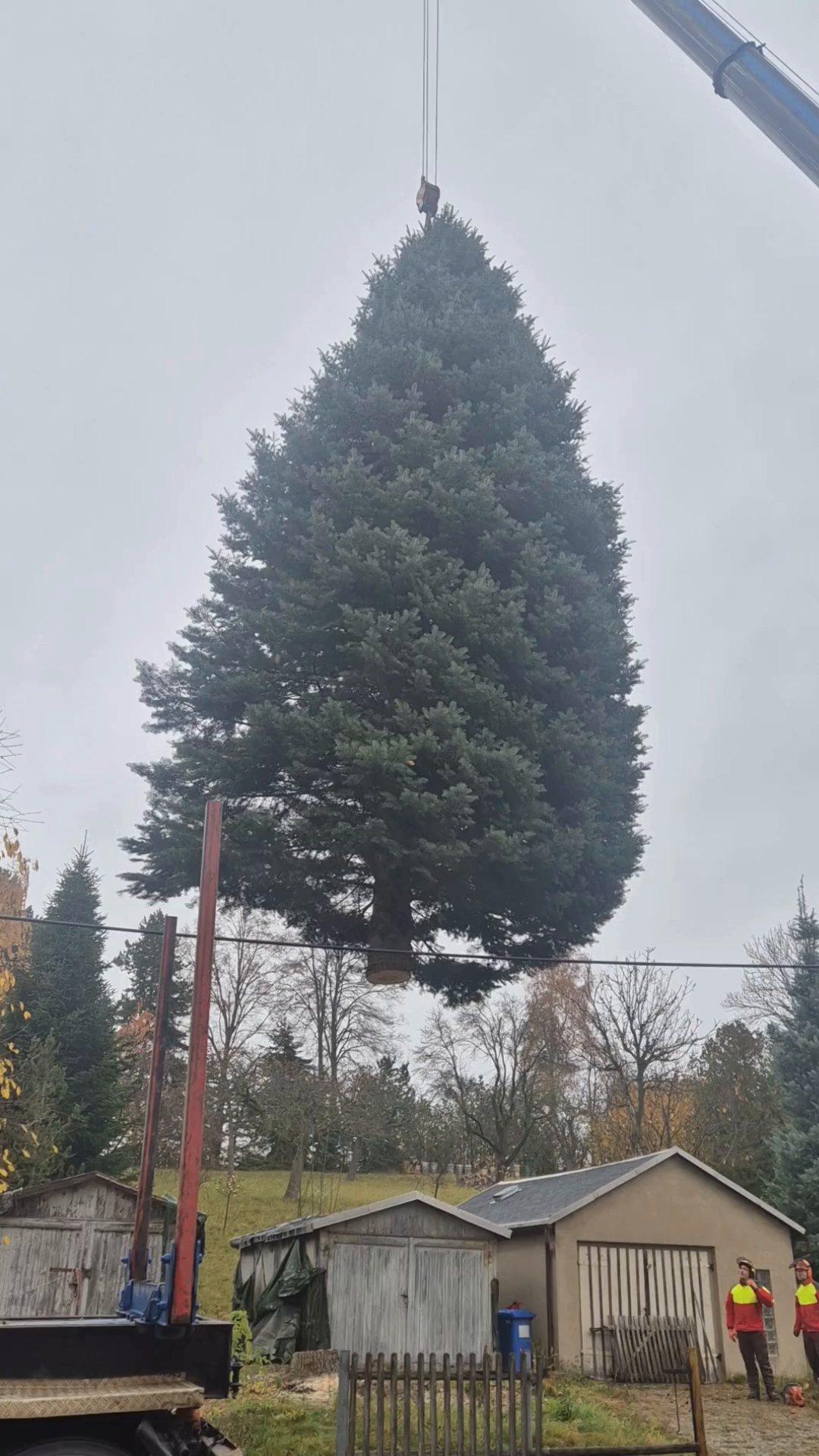 Video: Christmarktbaum für Freiberg