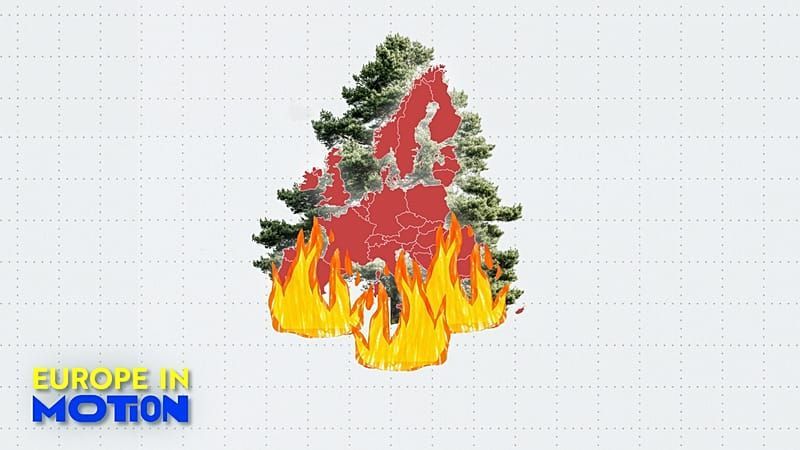 Video: Fläche von Luxemburg verbrannt: So schlimm sind die Waldbrände 2026