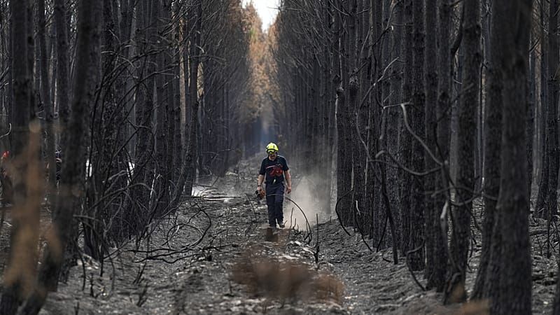Video: Griechenland kämpft gegen Megafeuer – neue Brände auch in Spanien