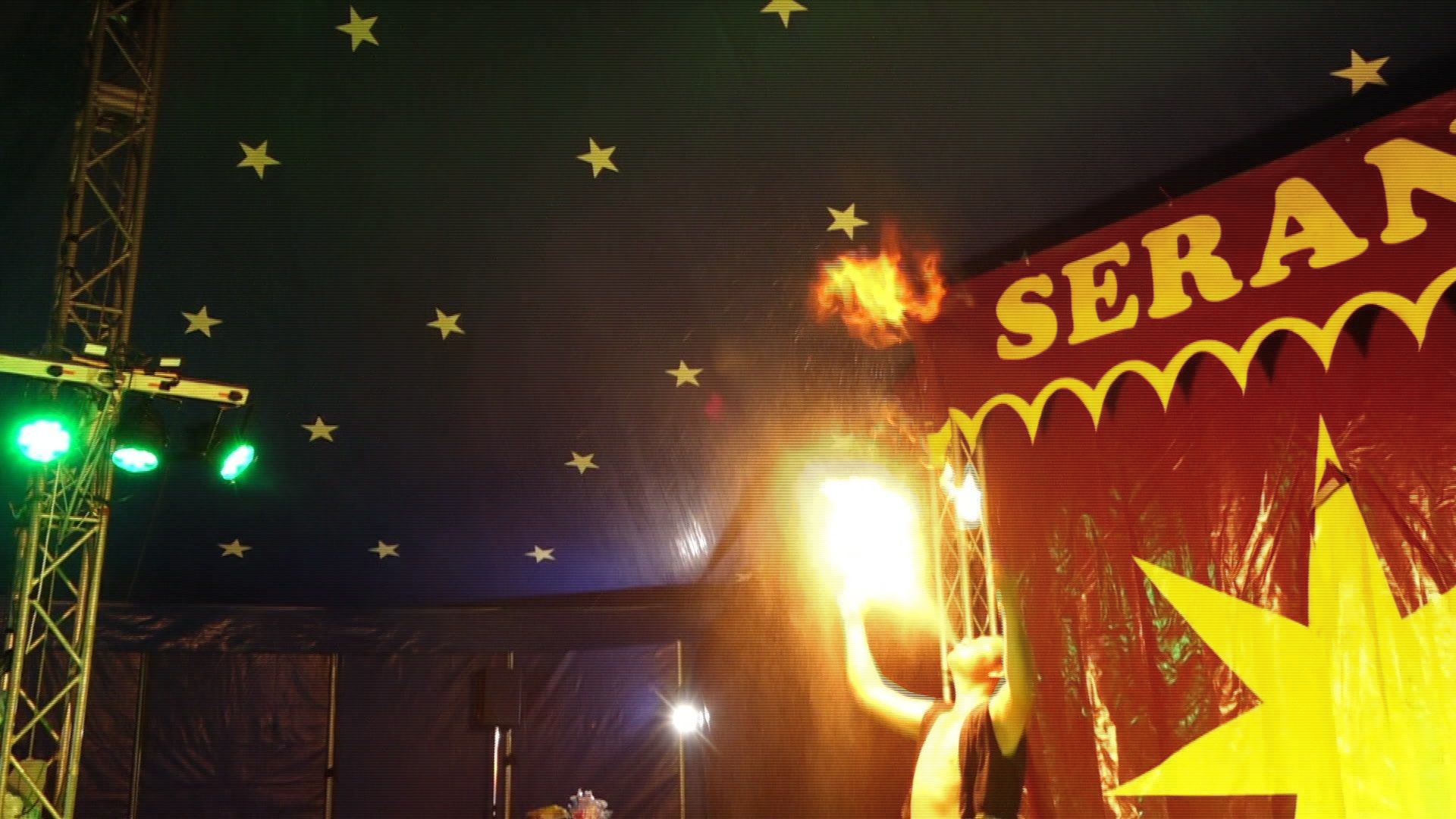 Decline in Audience and Animal Welfare Debate - Allgäu Circus Struggles
