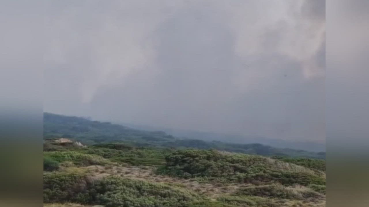 Video: Italien: Feuerwehr bekämpft Brand in Küstenkiefernwald auf Sardinien