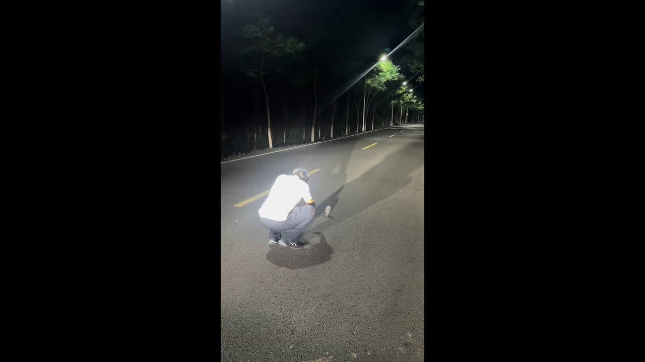 Video: Liaoning, China – 08.