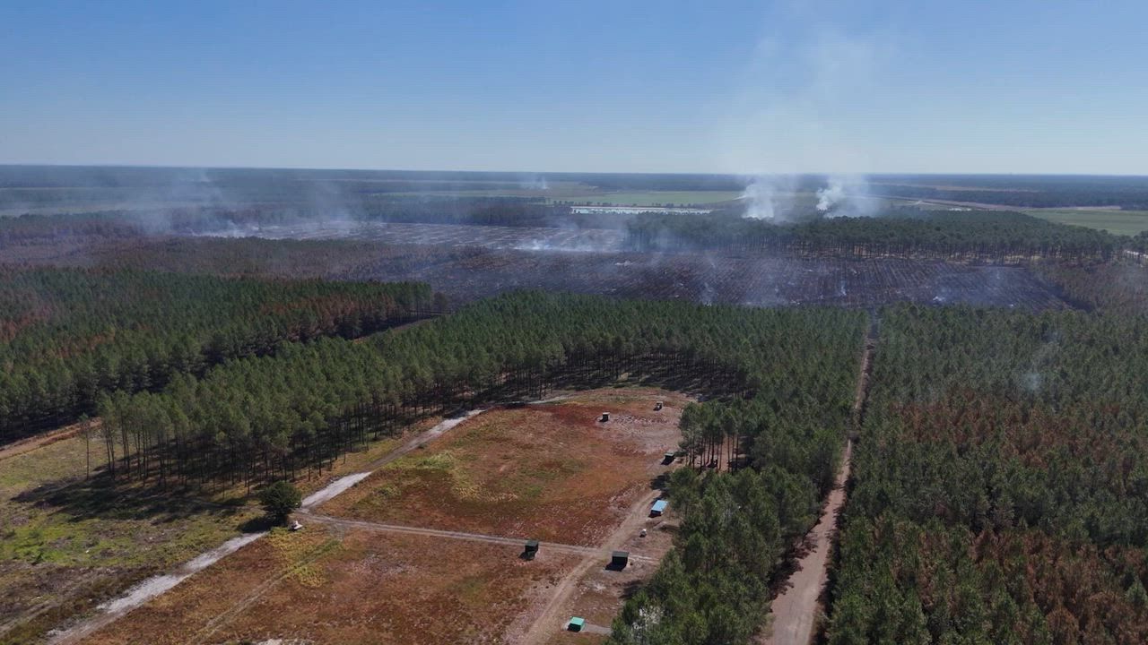 Video: Frankreich: Drohnenaufnahmen zeigen Waldbrandschäden in Le Temple
