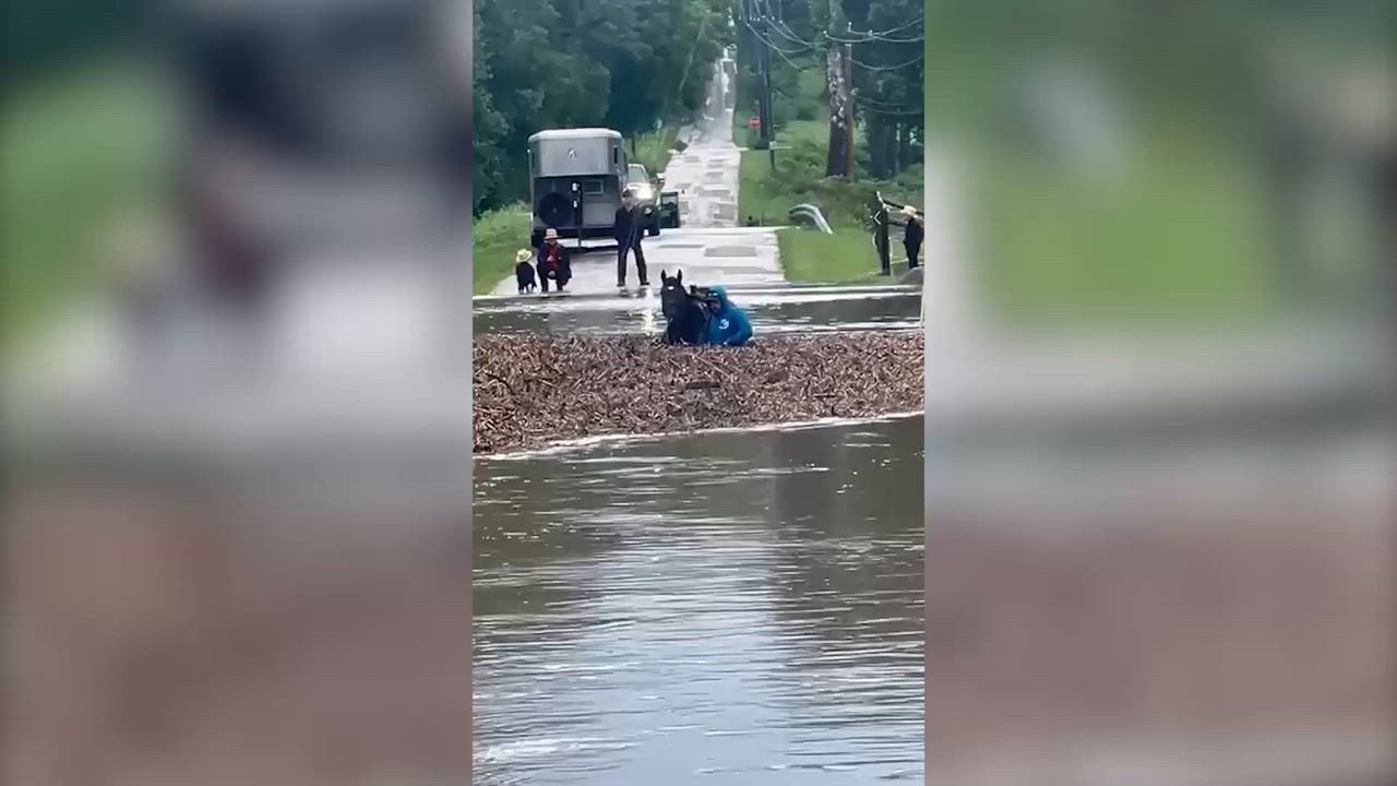 Video: USA: Gestrandete Pferde aus Flutwasser gerettet, während Überschwemmungen in Indiana 113-Jahres-Rekord brechen
