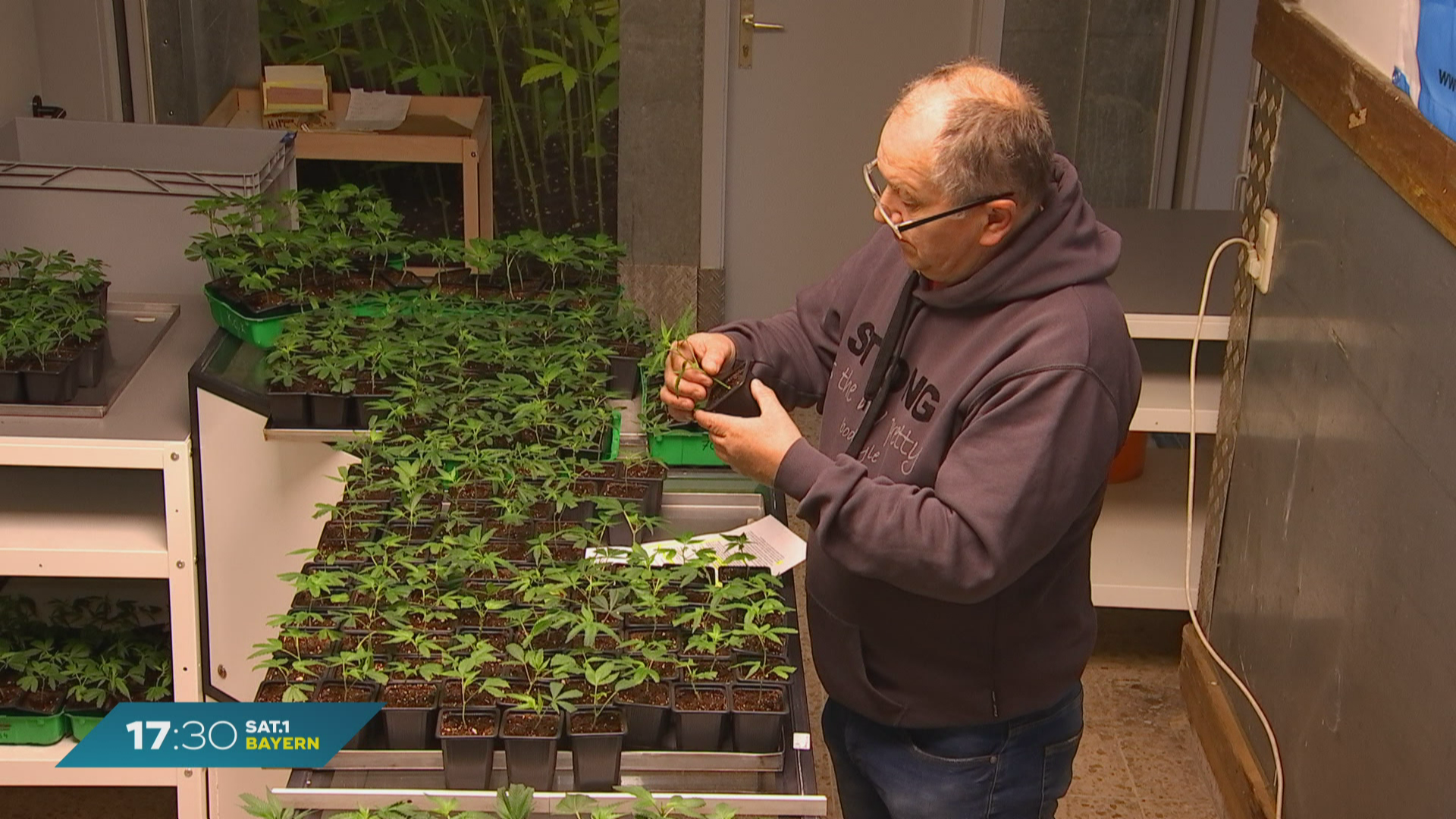 Kiffer-Verbote in Bayern: Neue Regeln für Volksfeste und Biergärten