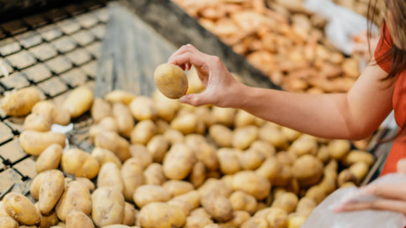 Großer Kartoffel-Rückruf bei Rewe und Penny: Diese Bundesländer sind betroffen