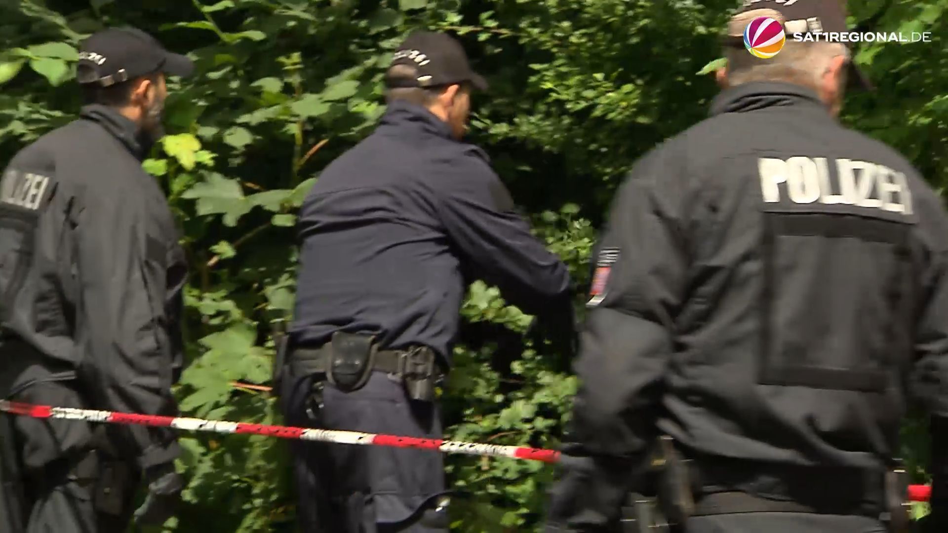 21-Jährige tot in Wald gefunden – Polizei geht von Tötungsdelikt aus