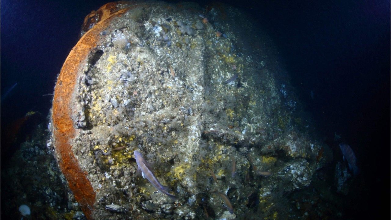 Nach jahrzehntelanger Suche: Überreste von 1856 gesunkenem Dampfer entdeckt