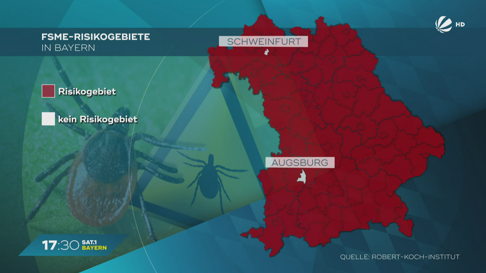 Früher Start der Zecken-Saison in Bayern: Warum Impfen jetzt so wichtig ist