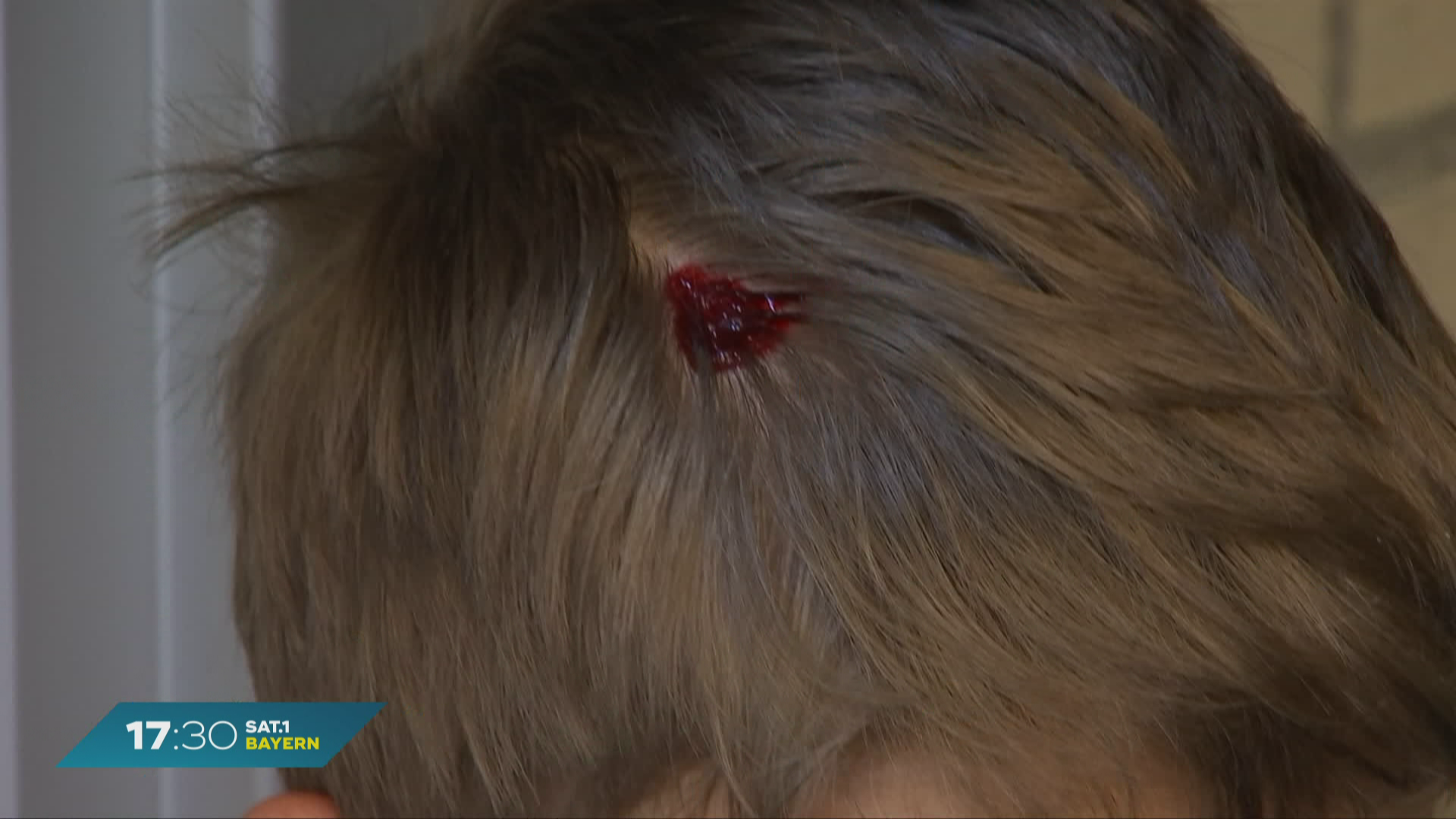 Erste-Hilfe an Schulen: Praxistag für Bayerns Schulsanitäter