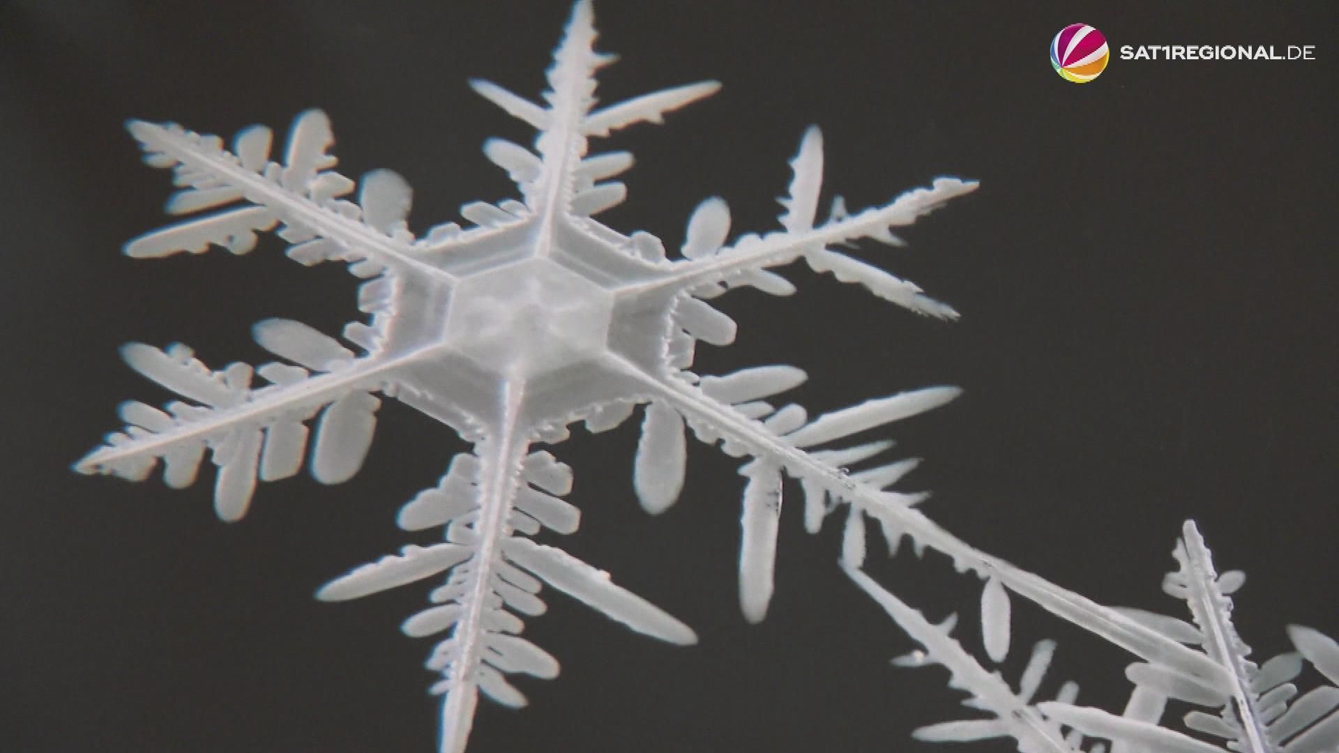 Video: Schneeflocken aus der Antarktis: Ehepaar aus Bremerhaven will Momente festhalten