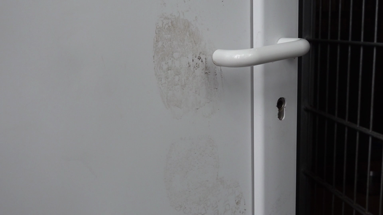 Video: Einbruch und Diebstahl im Tierheim Witten: Hunde vermisst und verletzt