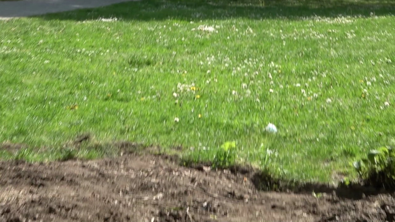 Video: 500kg Bronze-Skulptur aus Park gestohlen: Hilfe gesucht