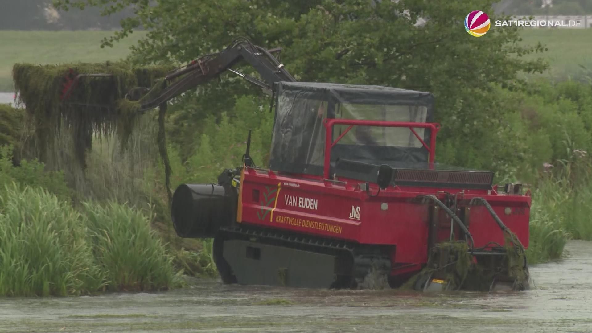 Watercress plant removed from Bremer Werdersee