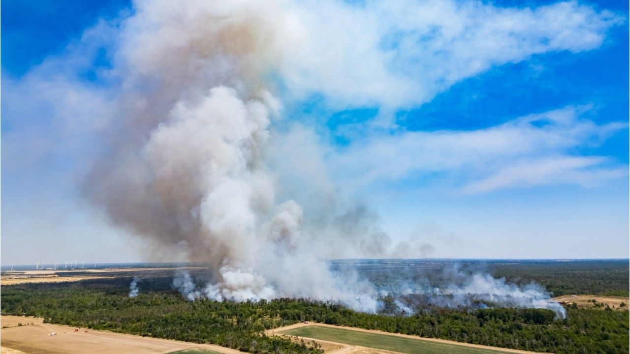 Waldbrand-in-Gohrischheide-eskaliert-