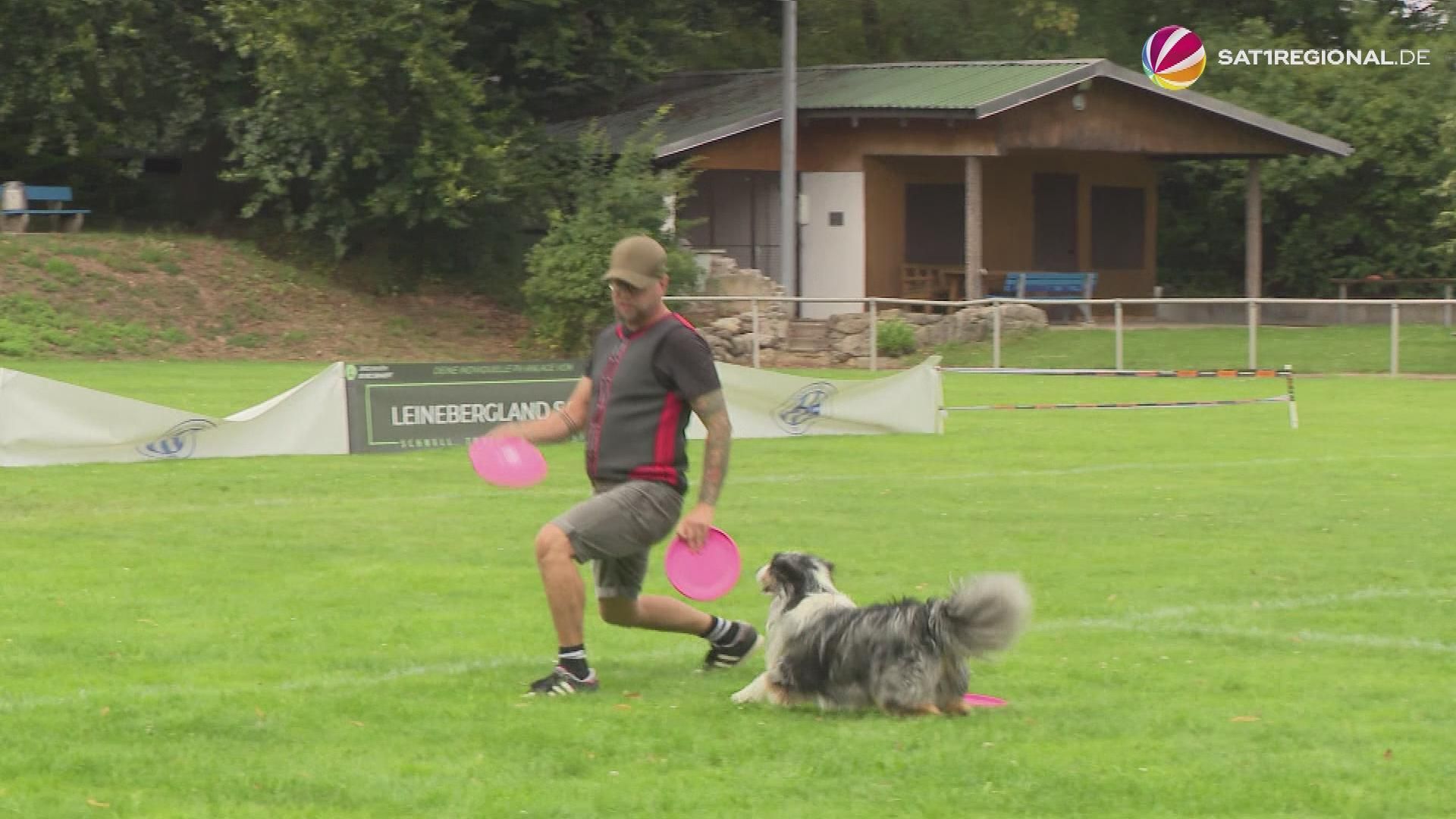 Dog Frisbee: International Elite at WM Qualification in Eime