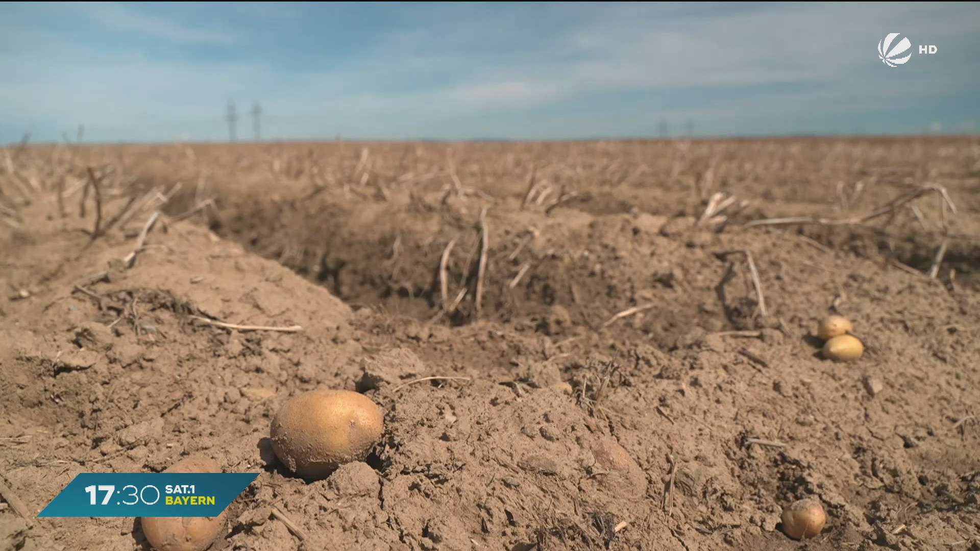 Video: Bayerische Kartoffelernte: Gute Erträge - aber Sorgen wegen Schädlingen