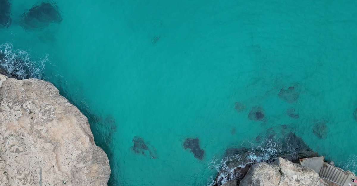 Requin déformé échoué à Majorque