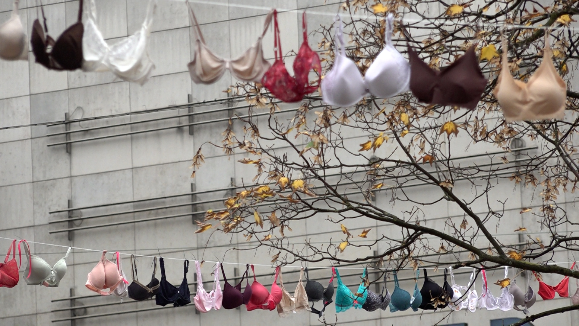 Video: 500 BHs hängen in Wuppertal