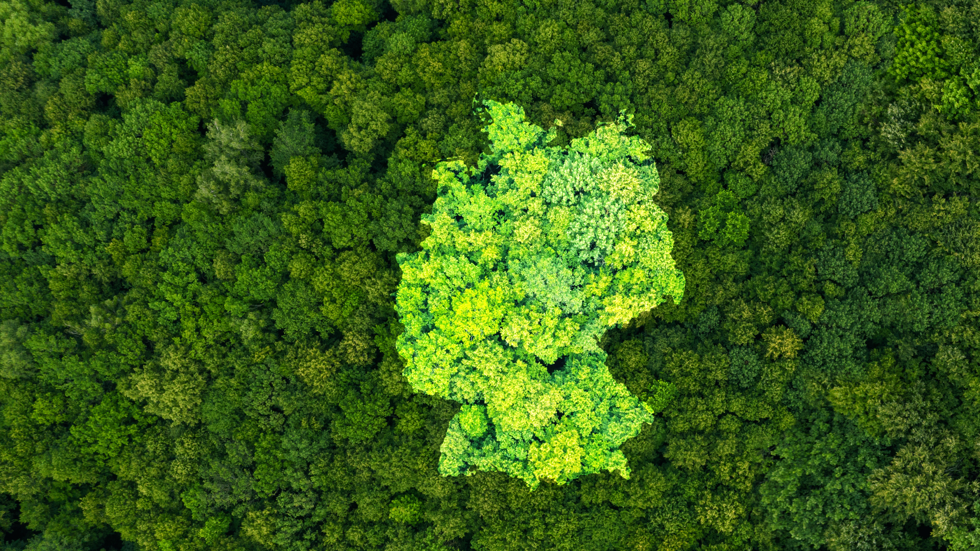 Video: Klimaschutz: Deutschland hinkt hinterher