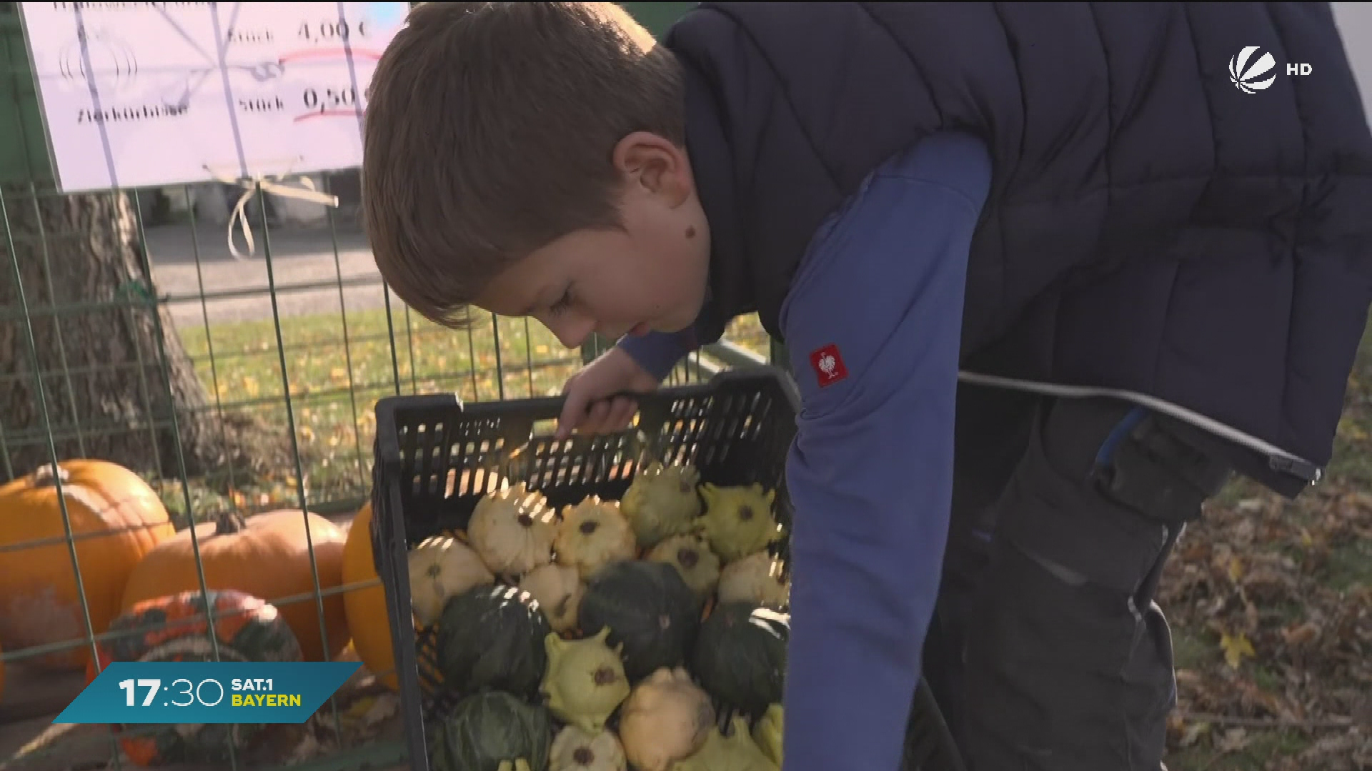 Video: Nachwuchstalent aus Otzing: Ist er Bayerns jüngster Kürbiszüchter?
