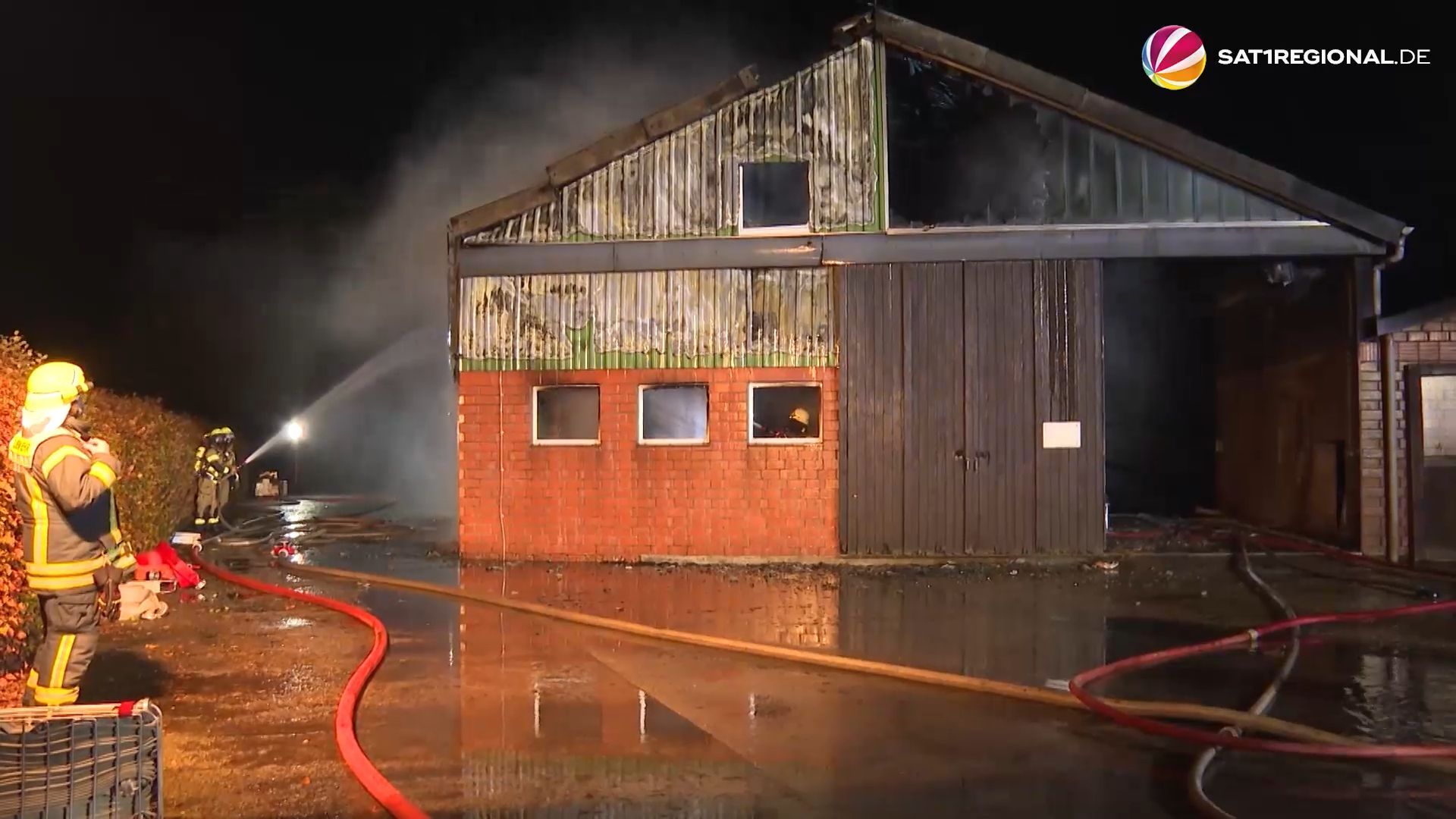 Großbrand auf Bauernhof in Struvenhütten: Kühe können sich selbst retten
