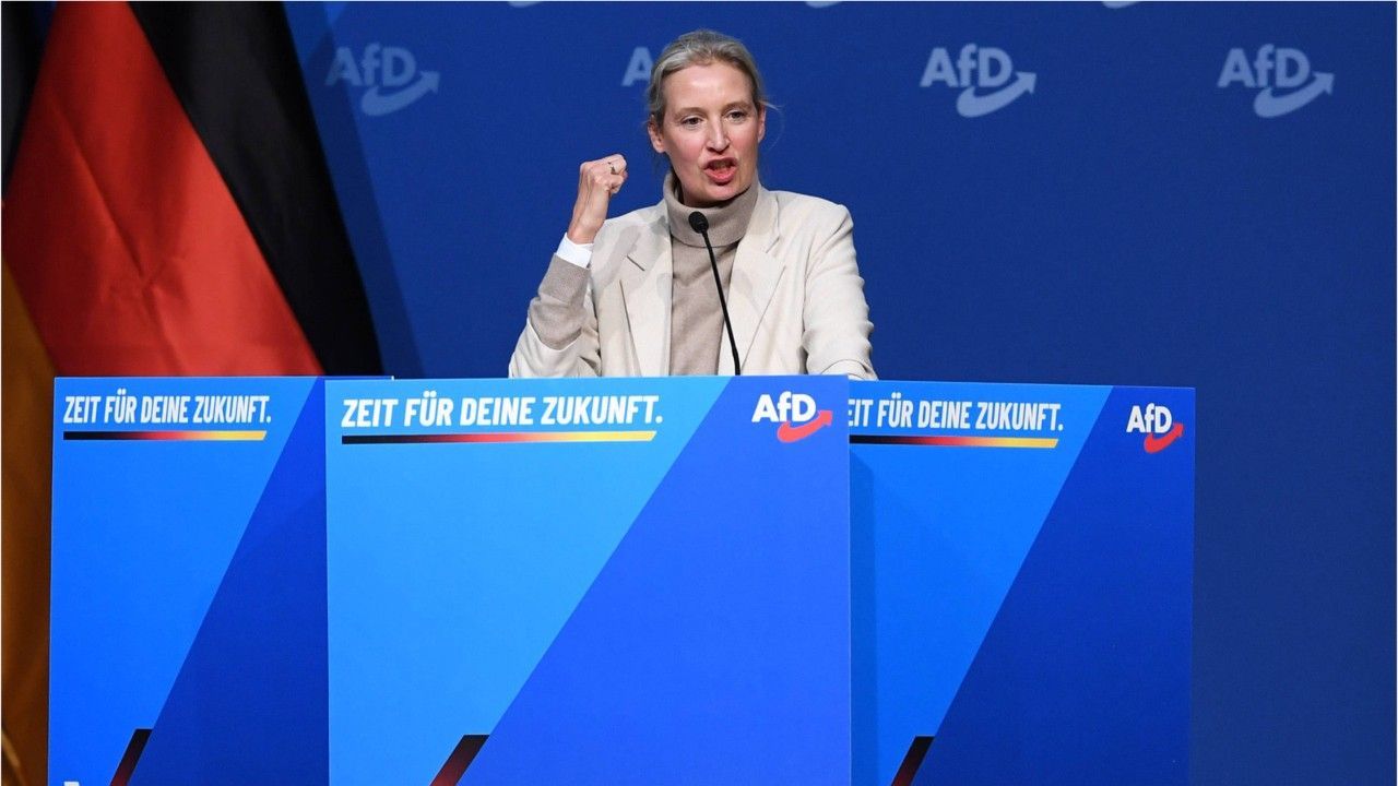 Video: Umfrage: AfD wieder auf Rekordhoch