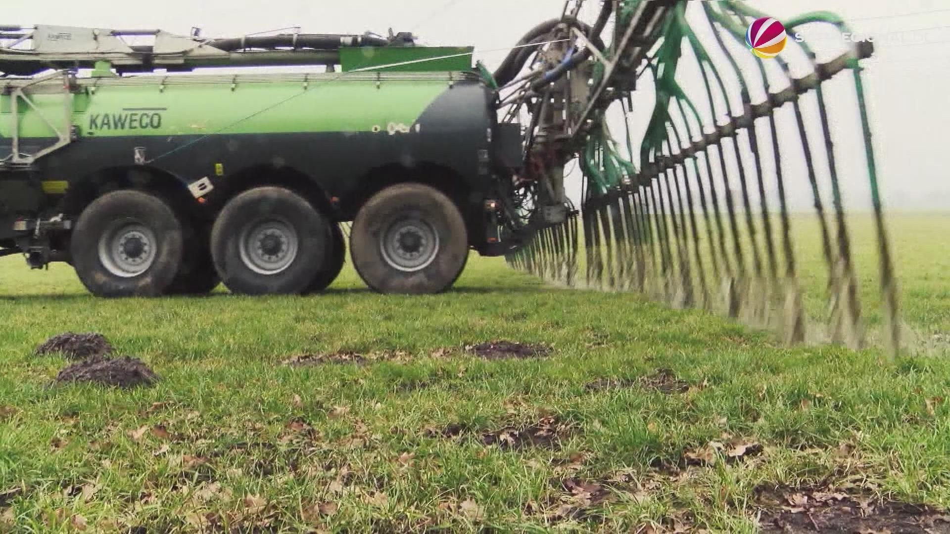 Video: Grundwasser in Schleswig-Holstein durch Düngemittel und Gülle belastet