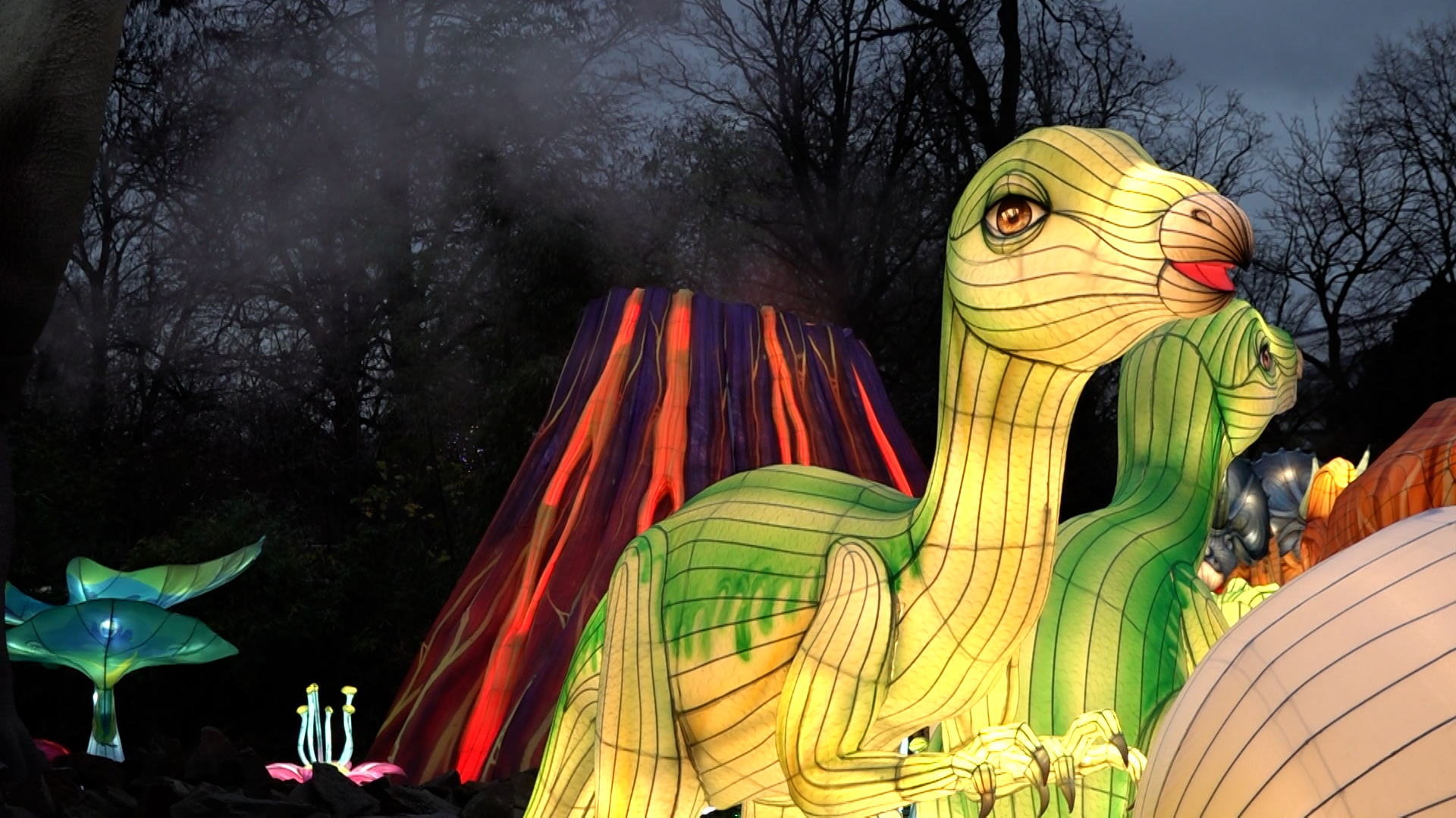 Video: China Lights im Kölner Zoo gestartet
