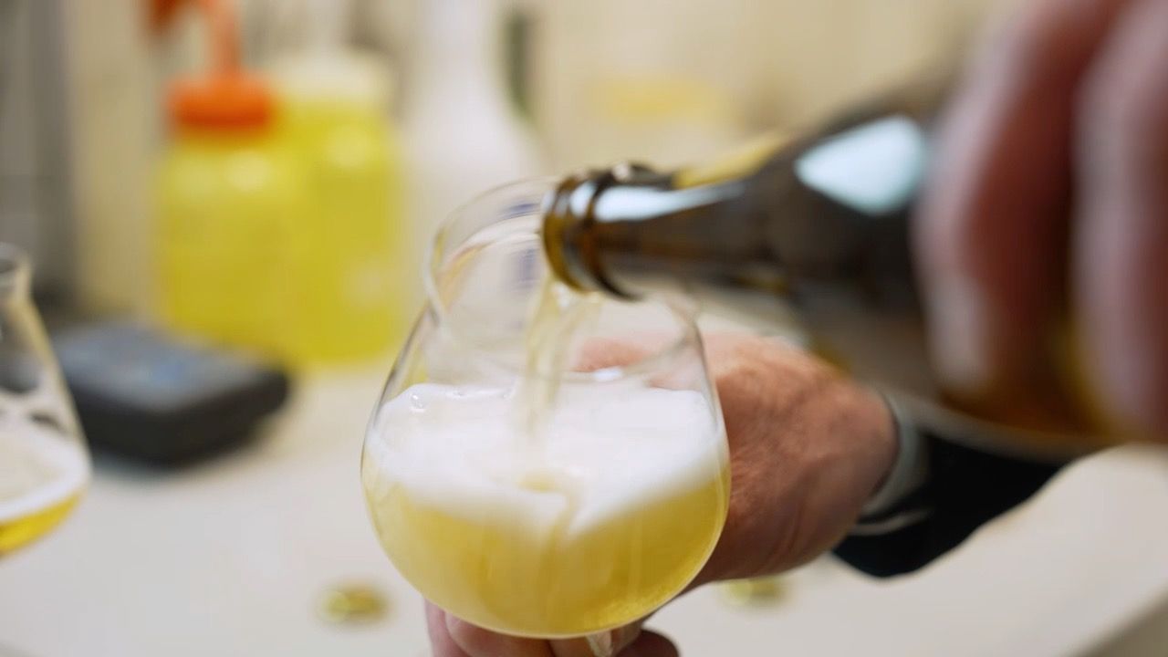 Bier-und-Bavaria-So-kann-gleichbleibende-Bier-Qualit-t-gew-hrleistet-werden