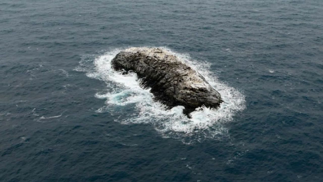 Video: Polarforscher entdecken unbekannte Insel