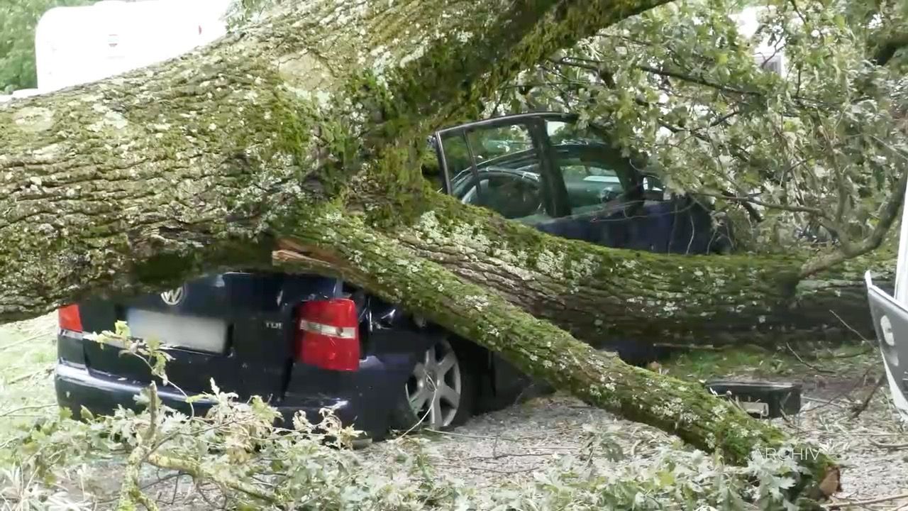 Video: Unwetterschäden an Autos: 2025 deutlich gesunken