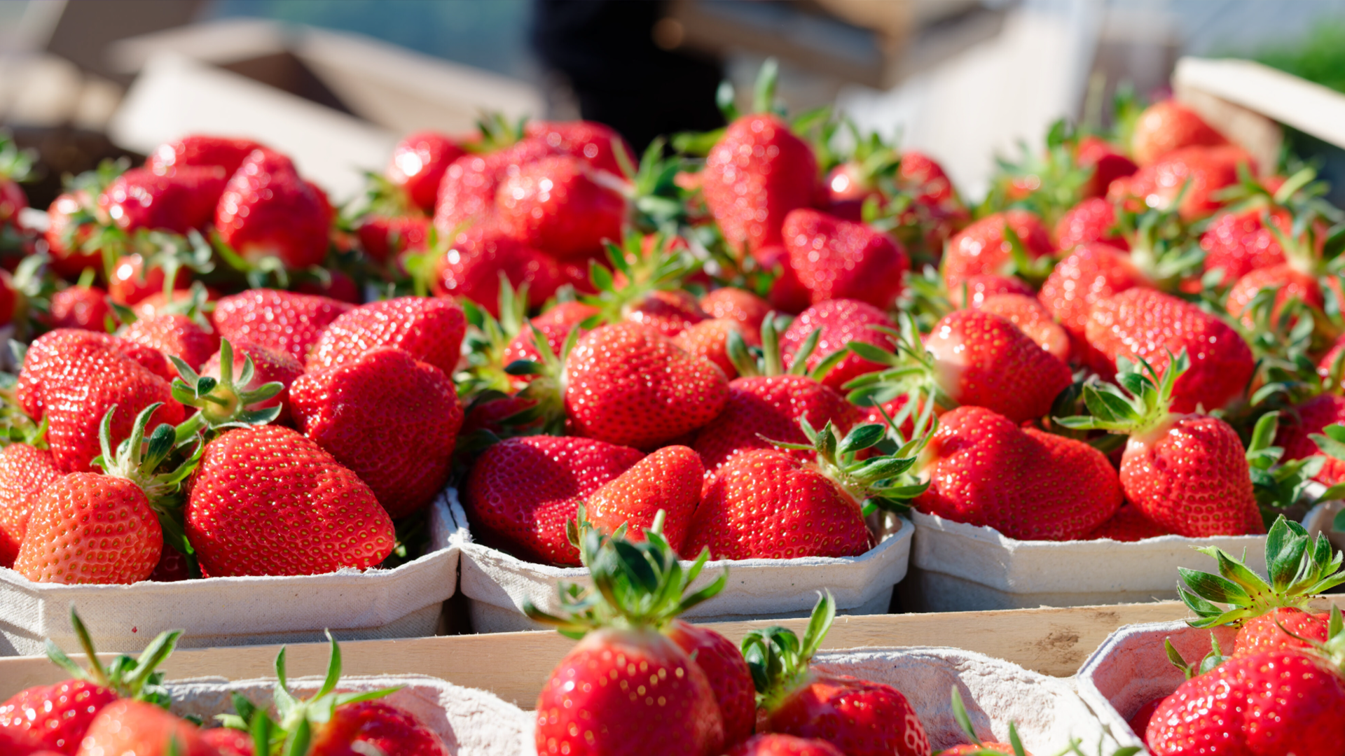 Video: Erdbeeren werden wohl teurer