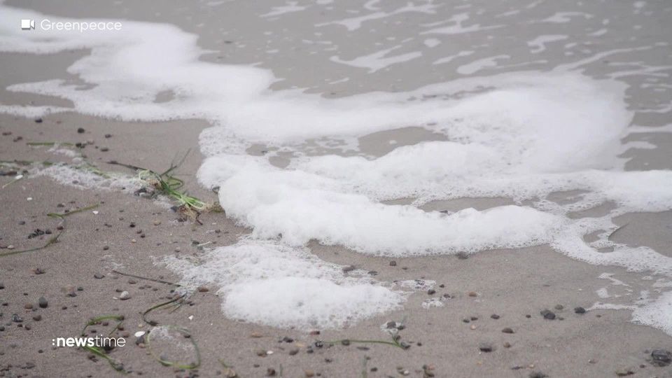 Giftiger Meeresschaum auf Sylt und Norderney