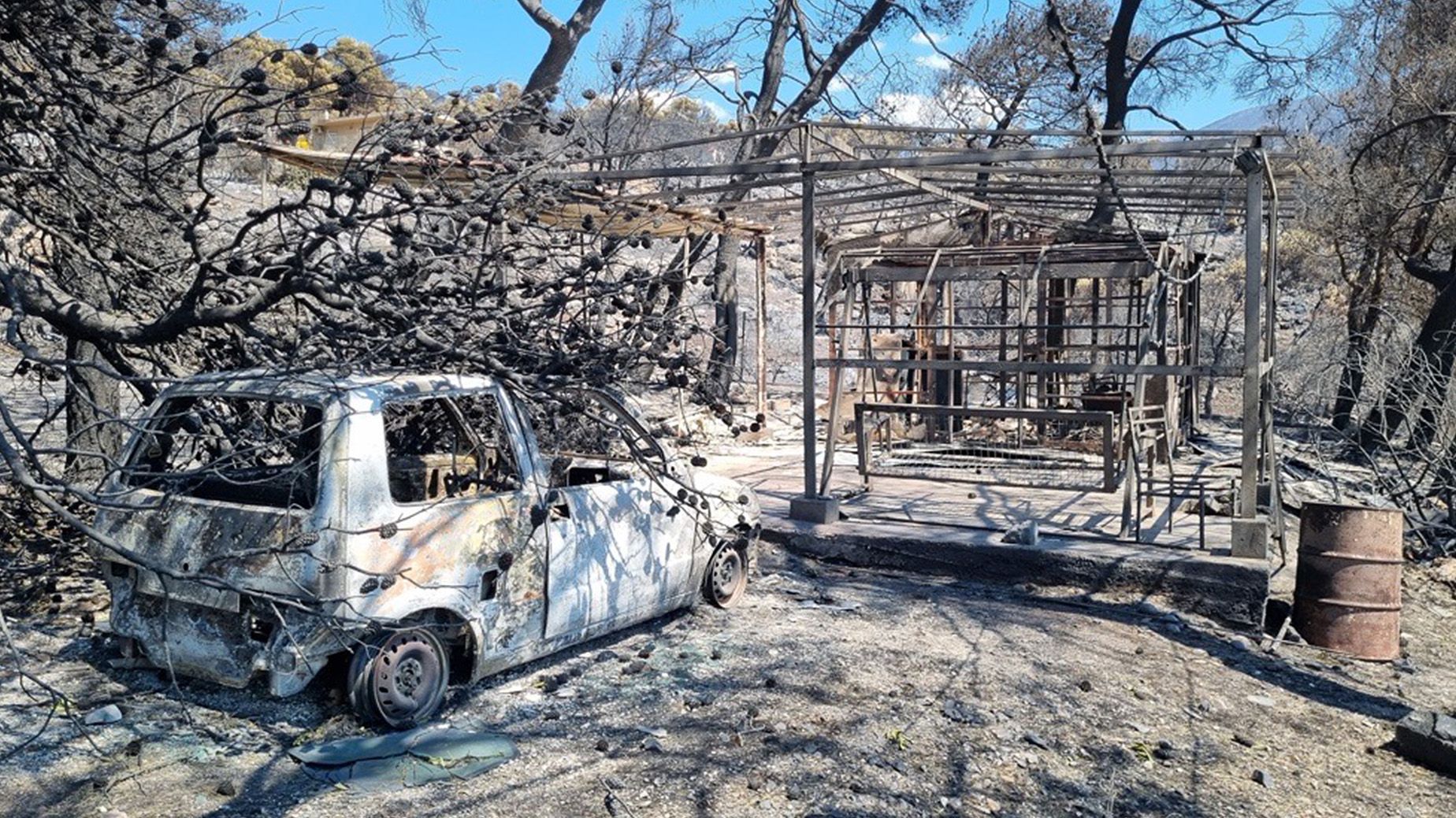 Video: Was die Waldbrände in Athen anrichten