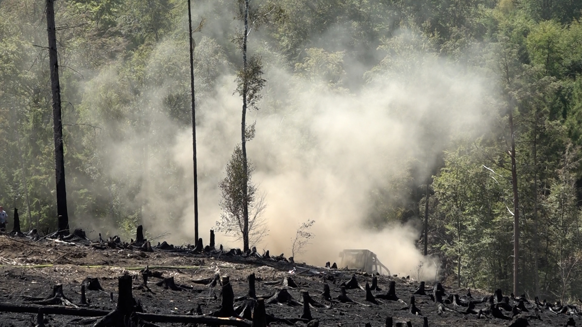 Video: Waldbrände in NRW