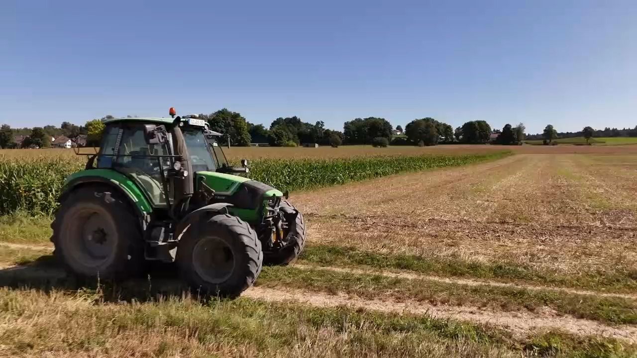 Video: Schlechte Getreideernte: Hitze und Trockenheit setzen Landwirten zu