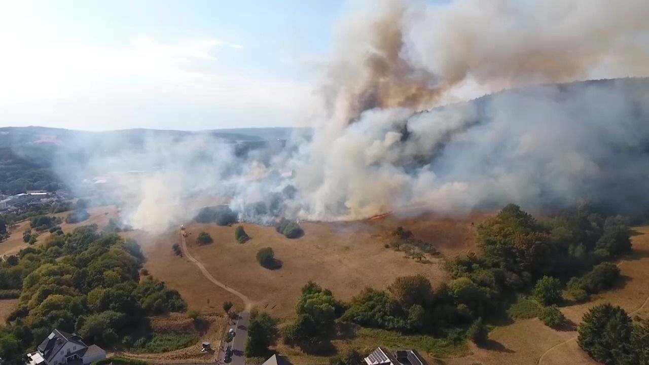 Video: Vorsätzliche Brandstiftung? Ursache für Waldbrände in Unterfranken geklärt
