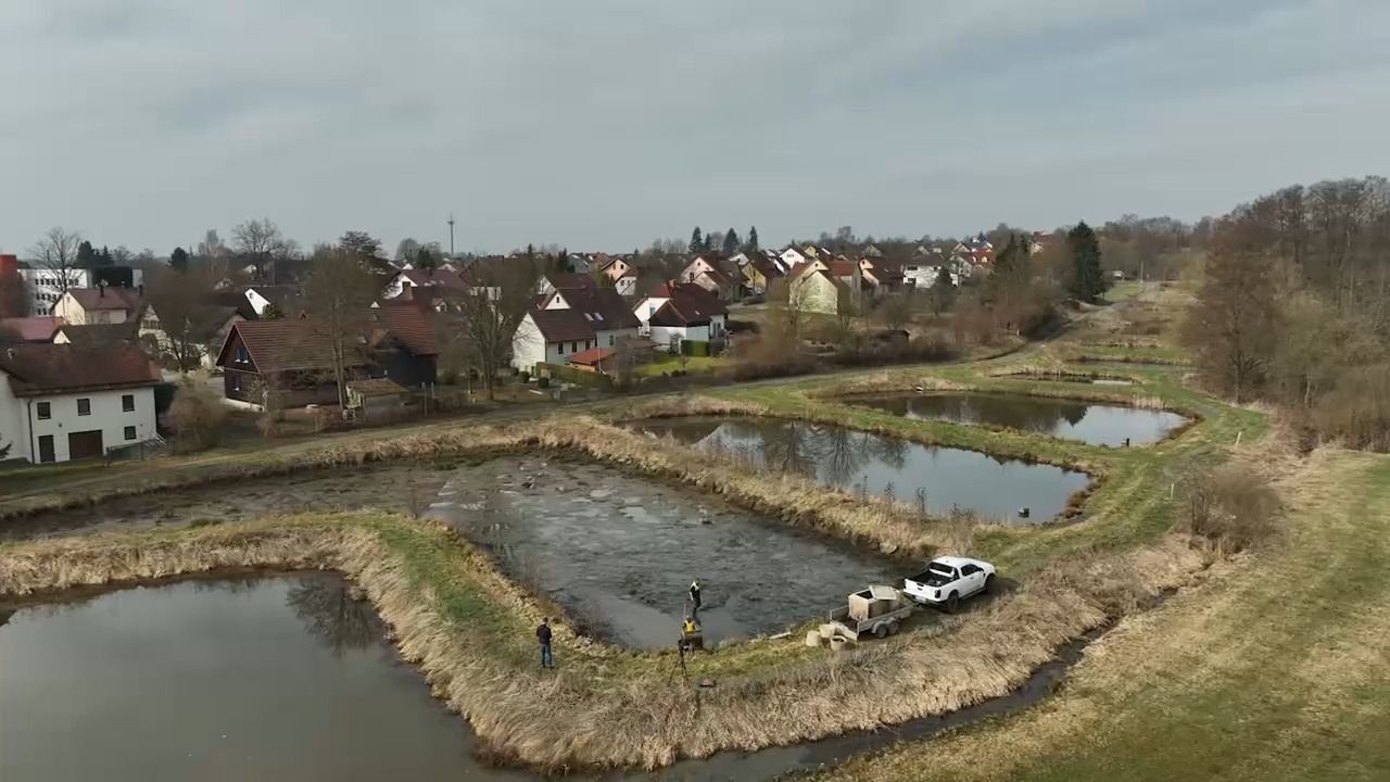 Video: Nach Fischotter-Urteil: Teichwirte fürchten um Existenz