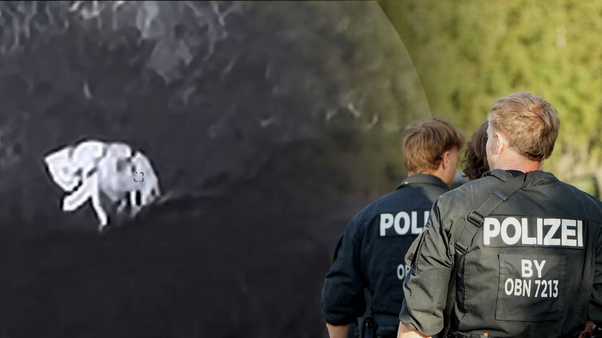 Video: Vermeintliche Puma-Sichtung in München
