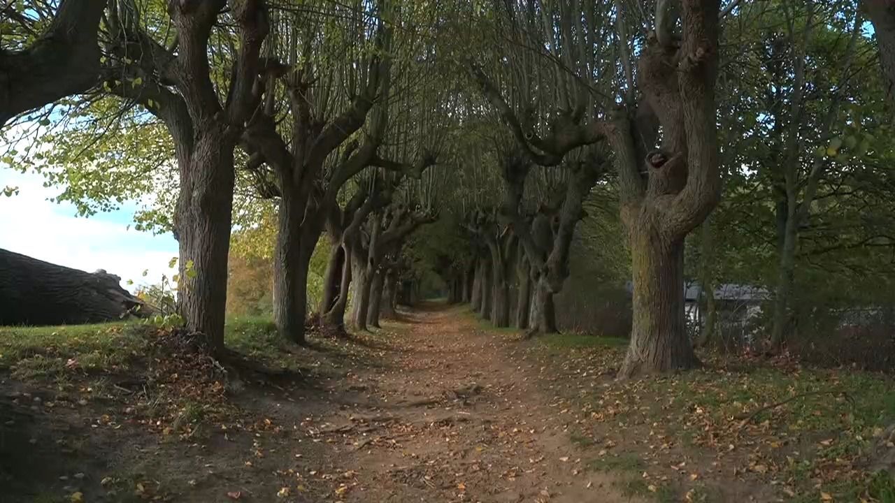 Video: Goldener Herbst in Bayern: Idylle bei Bad Staffelstein