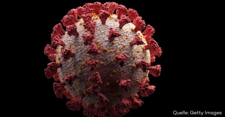 Forscher: Labor als Coronavirus-Ursprung ist nicht auszuschließen