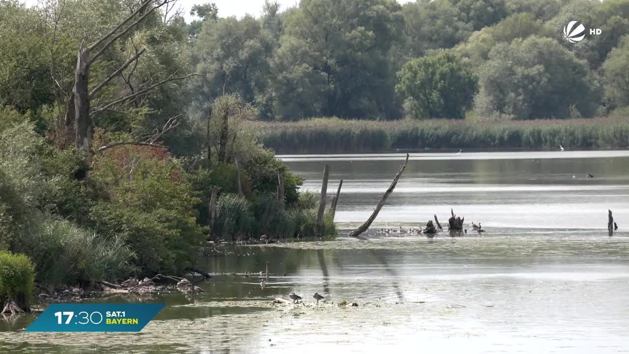 Wassermangel in Bayerns Flüssen: Experten warnen vor sinkenden Wasserständen