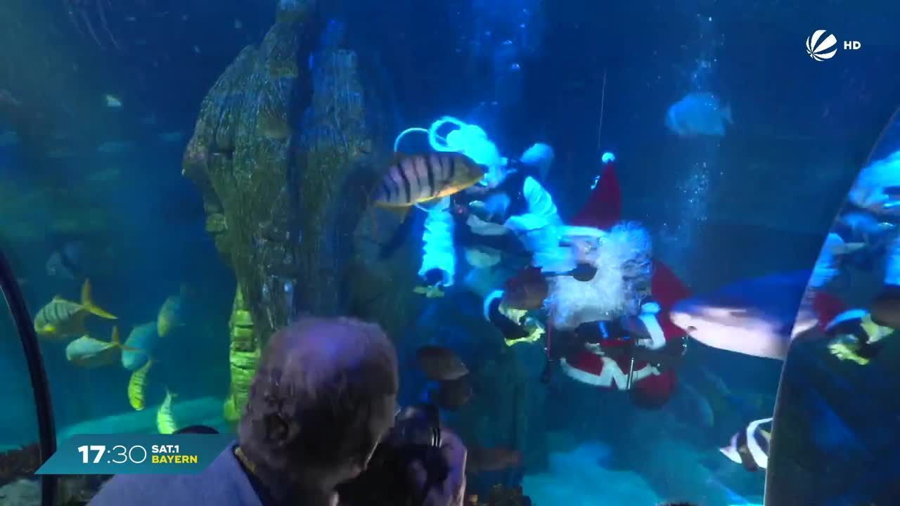München: Nikolaus zu Besuch im Sea Life
