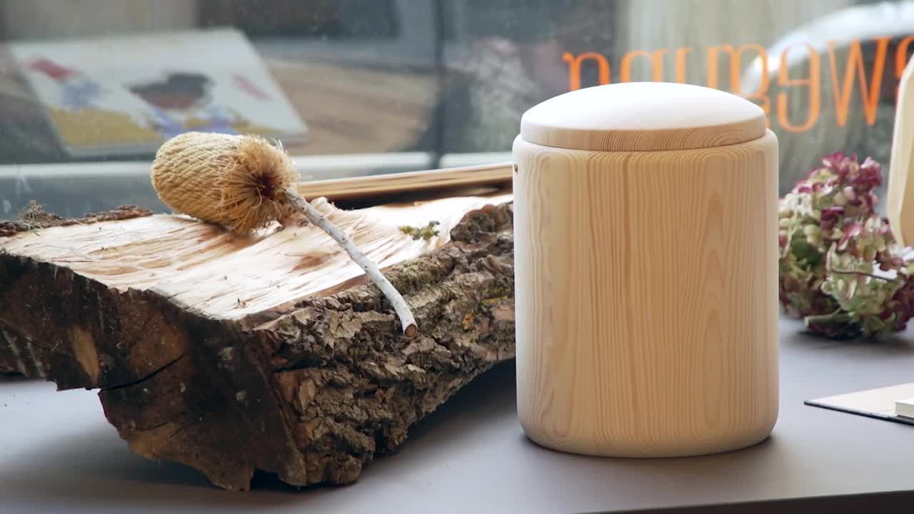 Lebensformen: Tod - mitten im Leben