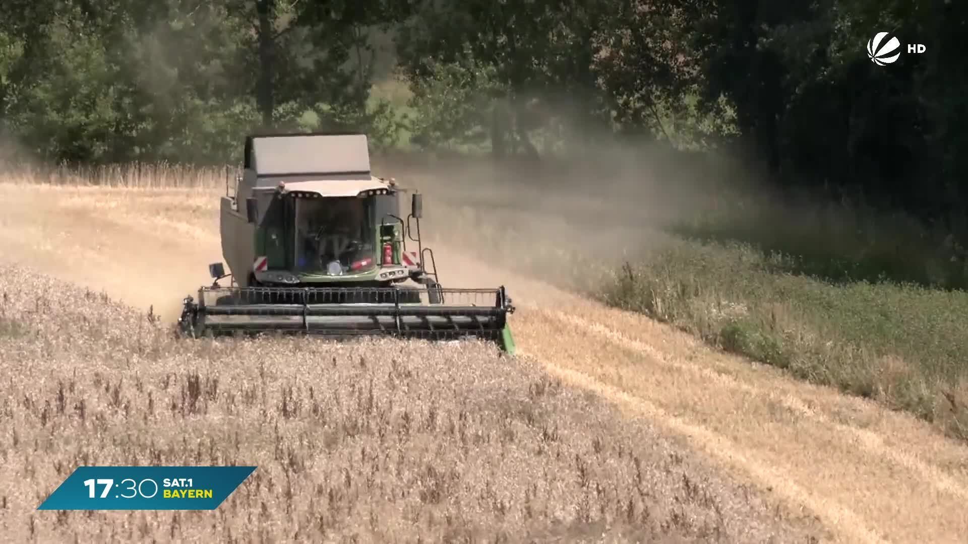 Ampel-Pläne in Bayern: Grüne gegen Belastung der Landwirte