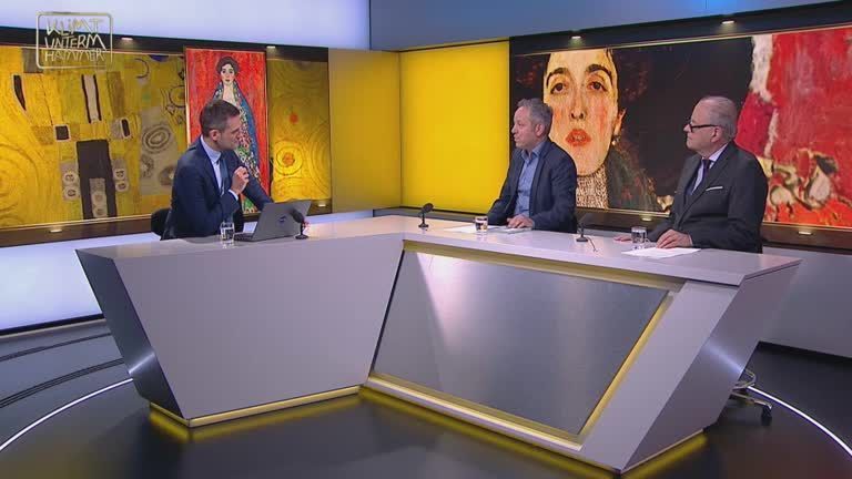 Zeithistoriker Alakus und Architekt Kräftner zur Klimt-Auktion