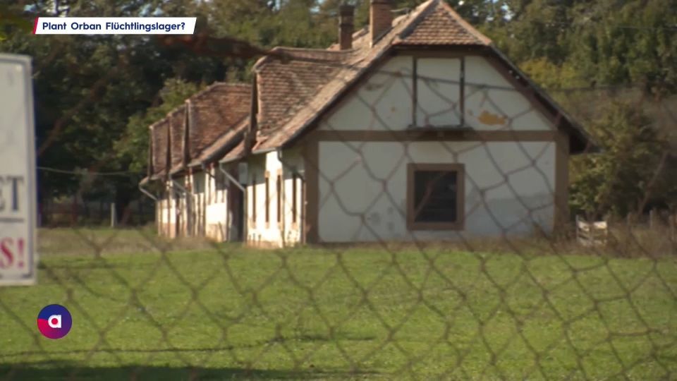 Grenze Österreich-Ungarn: Plant Orban Flüchtlingslager?