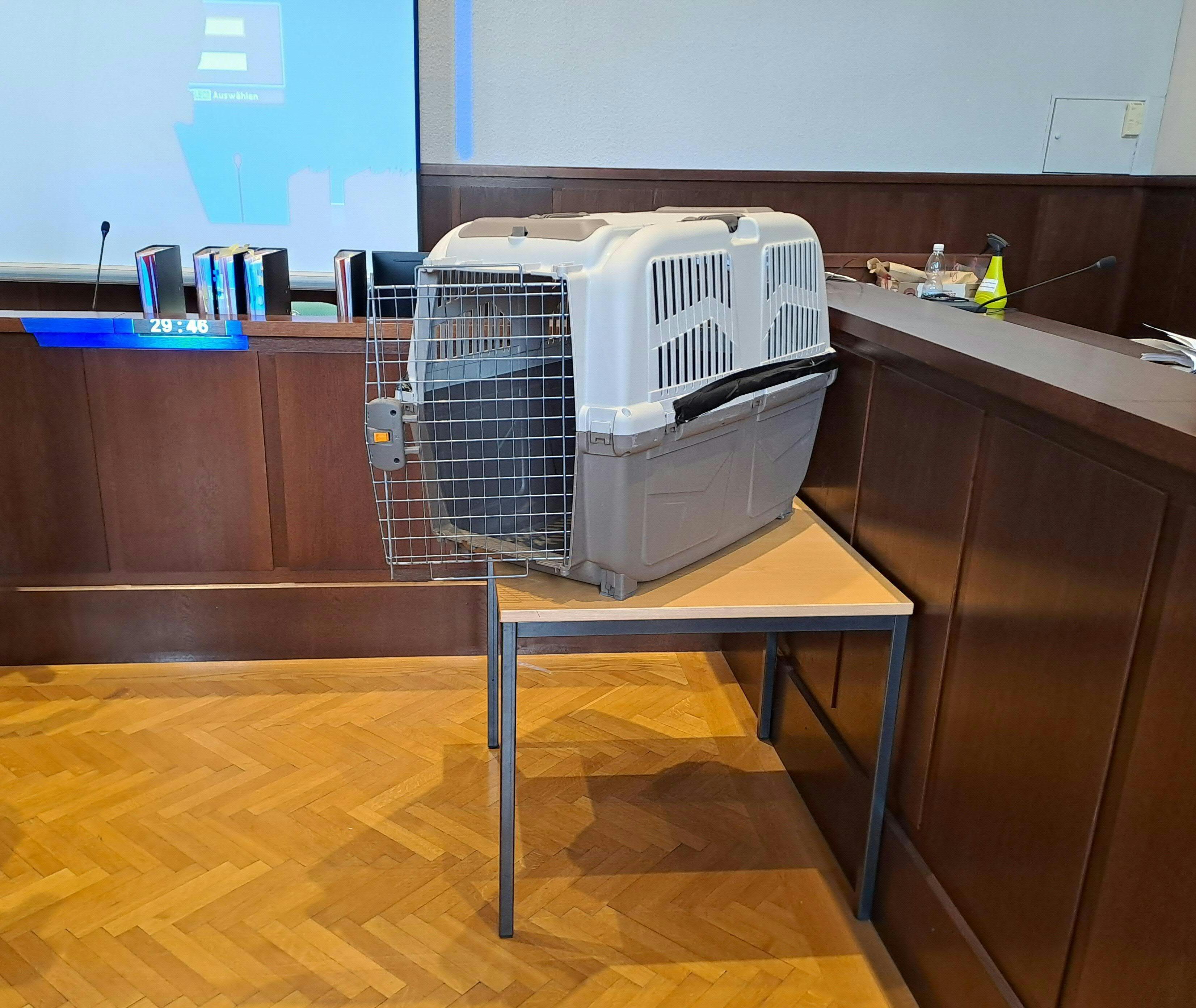 Kind in Hundebox gesperrt: Mutter vor Gericht